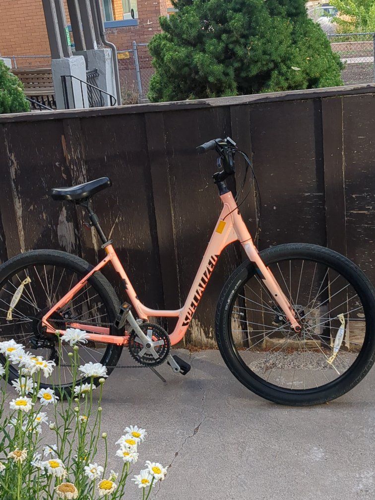2018 Specialized Roll sport