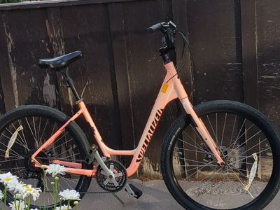 2018 Specialized Roll sport