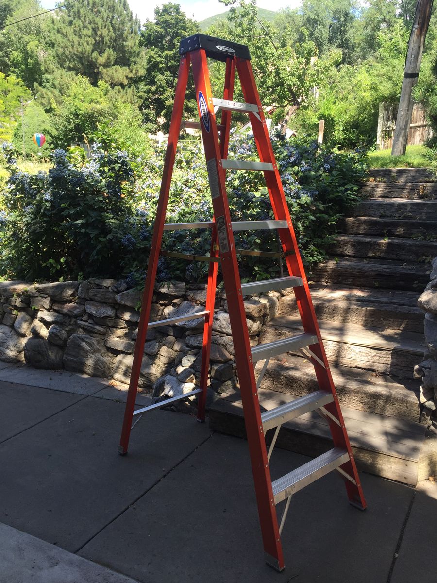 Ladder