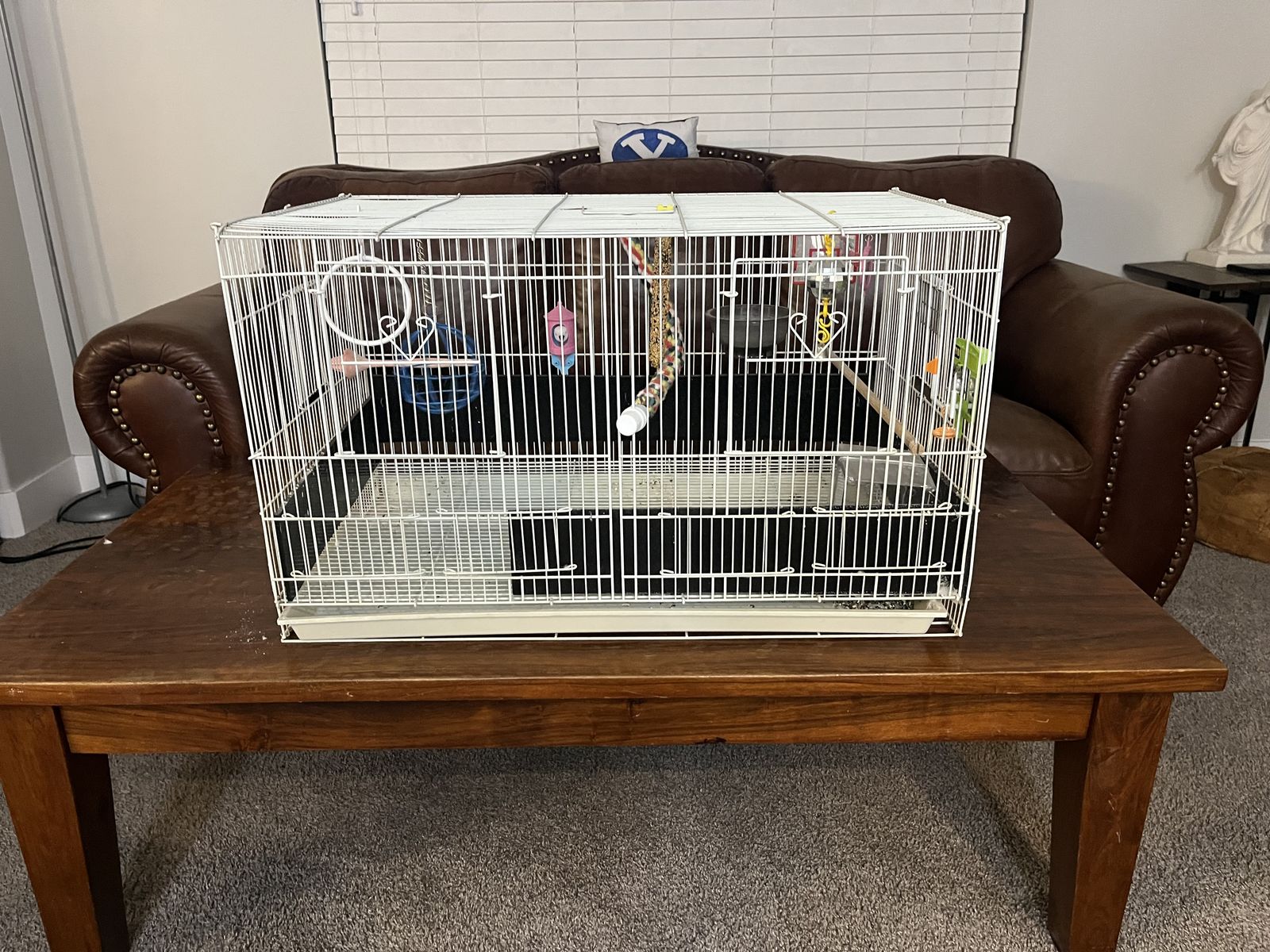 Bird Cage