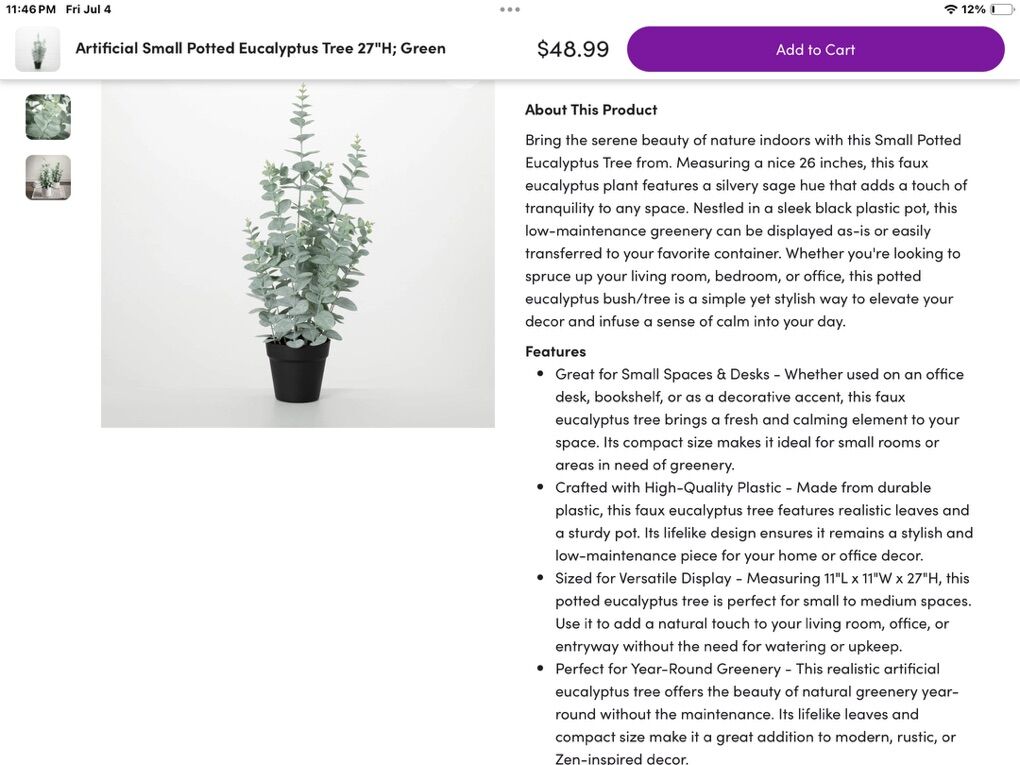 Fuax Potted Eucalyptus Tree 11 X 11 X 27