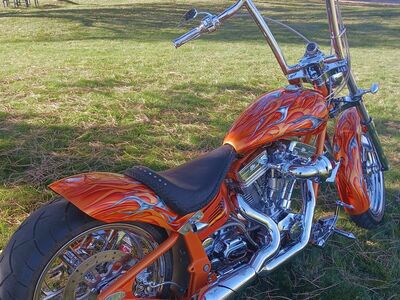 Custom Softail Trade Ducati