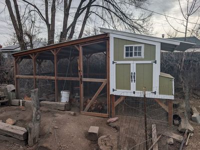 Craftsman Chicken coop/run. Friendly chickens are included if you want.