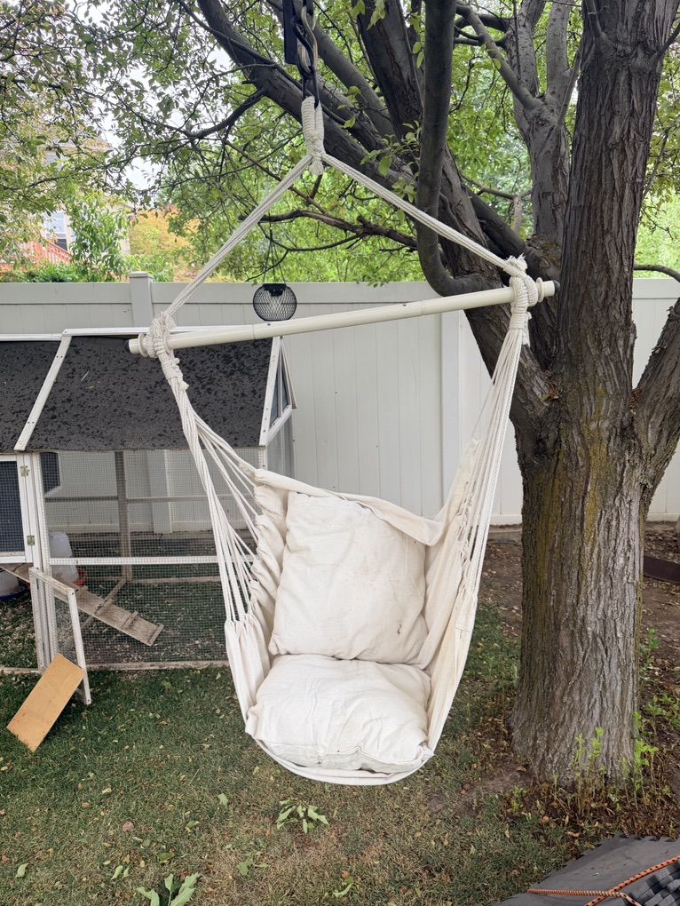 Hammock Chairs $20 Each
