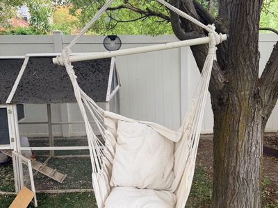 Hammock Chairs $20 Each