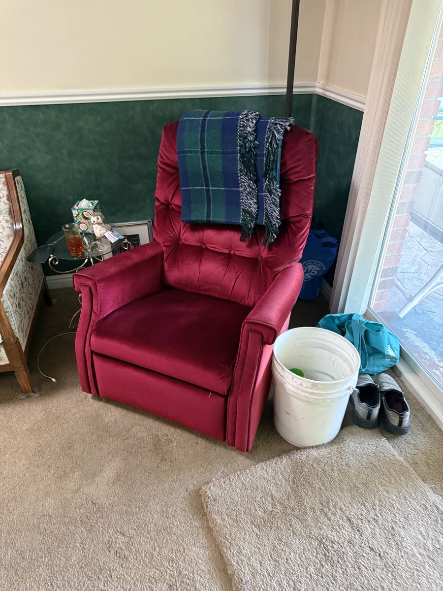 Vintage Lounge Chair