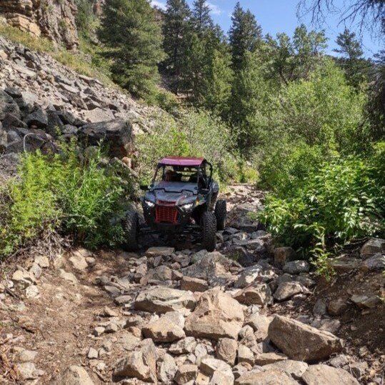 2019 Polaris Turbo S Velocity