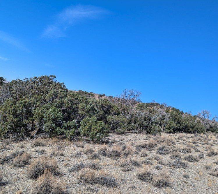 10 Acres of Land Near Montello, NV