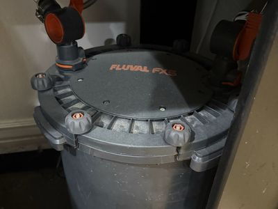 125 gallon Tank w/ Stand, FX5 Filter, Lights Etc.