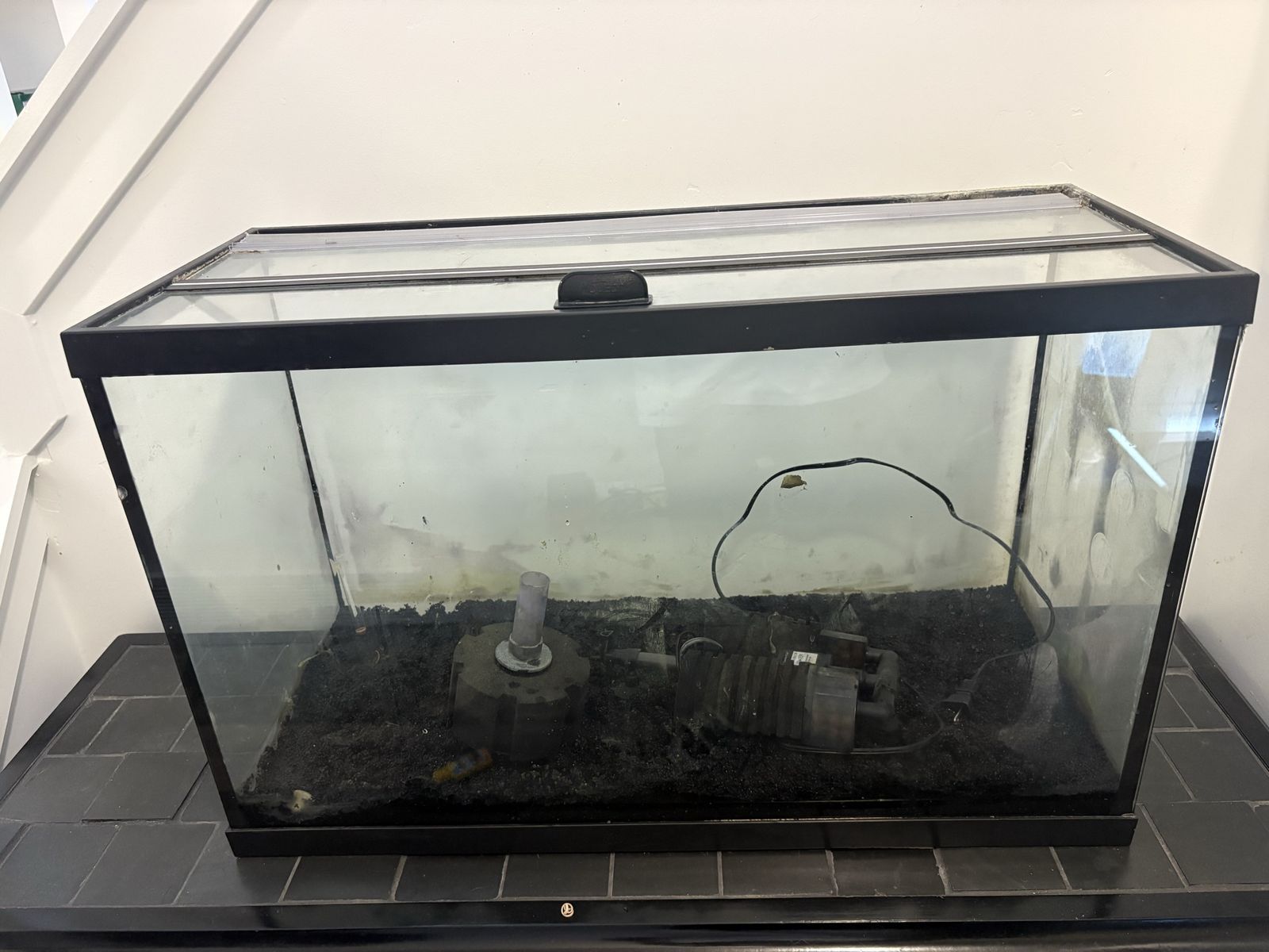 Aquarium 29g FREE