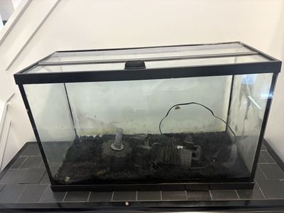Aquarium 29g FREE