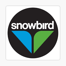 Snowbird 26/27 18 and under season pass