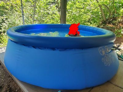 8ft Intex Easy Set Inflatable Pool