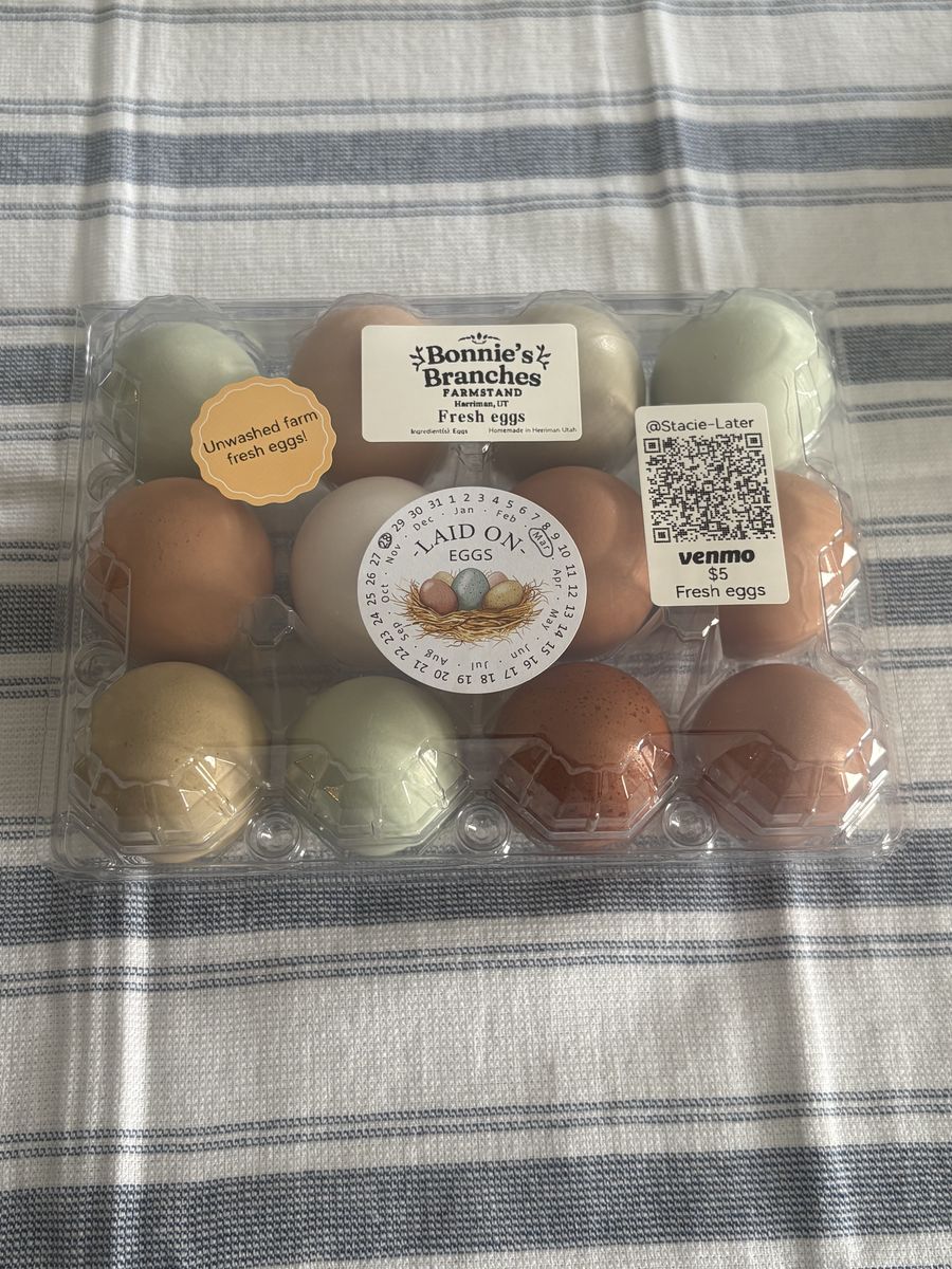 Fresh Eggs From Happy Hens