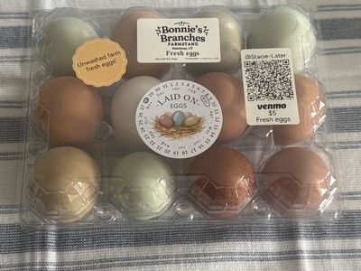 Fresh Eggs From Happy Hens