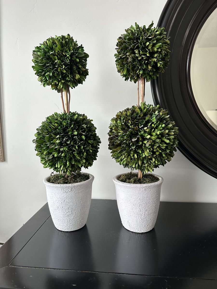 Pair of Artificial Boxwood Topiary Double Ball Trees in White Textured Pots