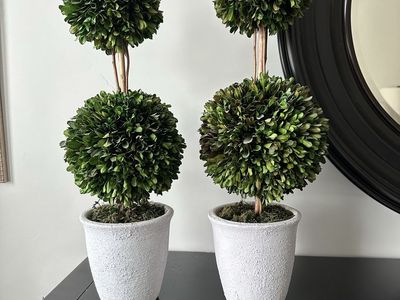 Pair of Artificial Boxwood Topiary Double Ball Trees in White Textured Pots