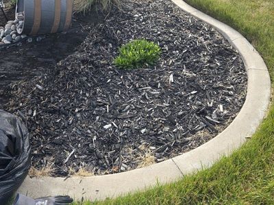Mulch