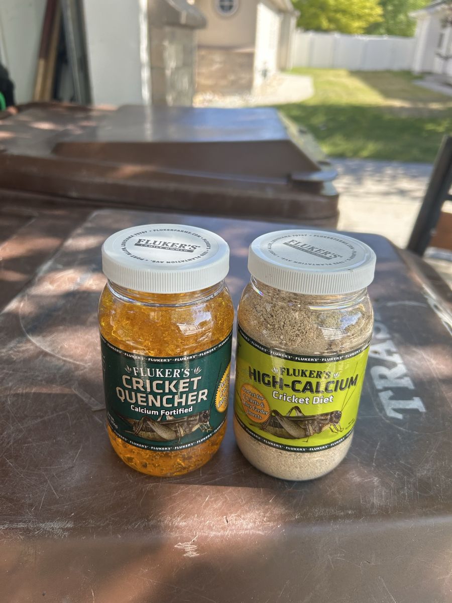 Bug food