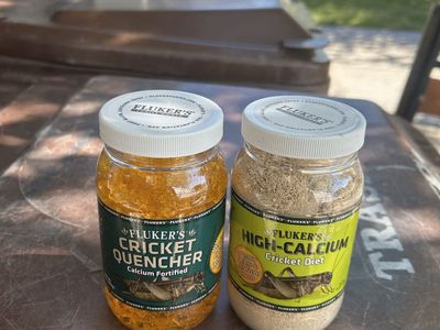 Bug food