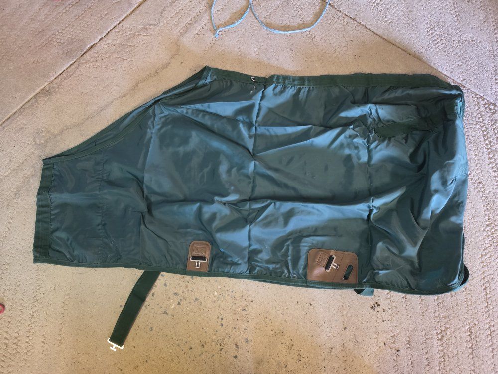horse sheets