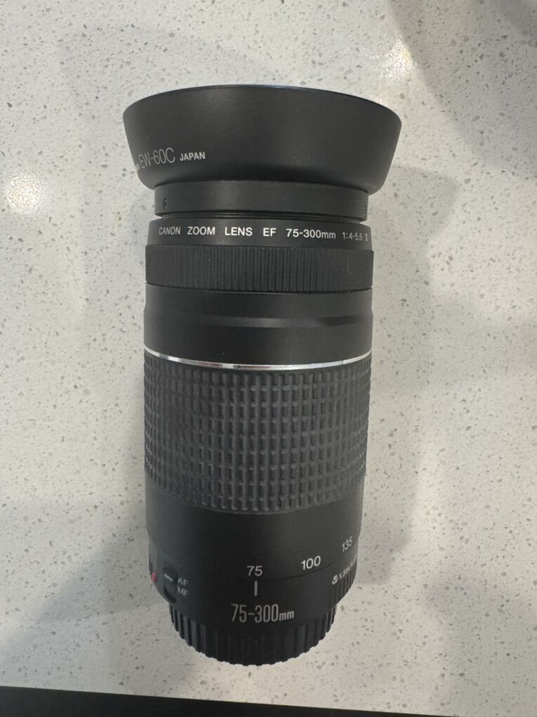 Canon EF 75-300mm Zoom Lens