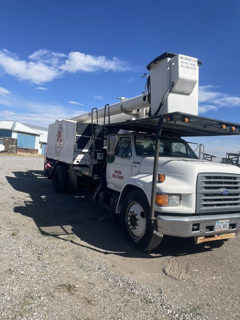 Tree Service For Sale