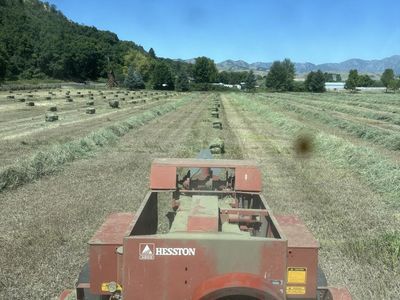 Hay Grass Small Bales