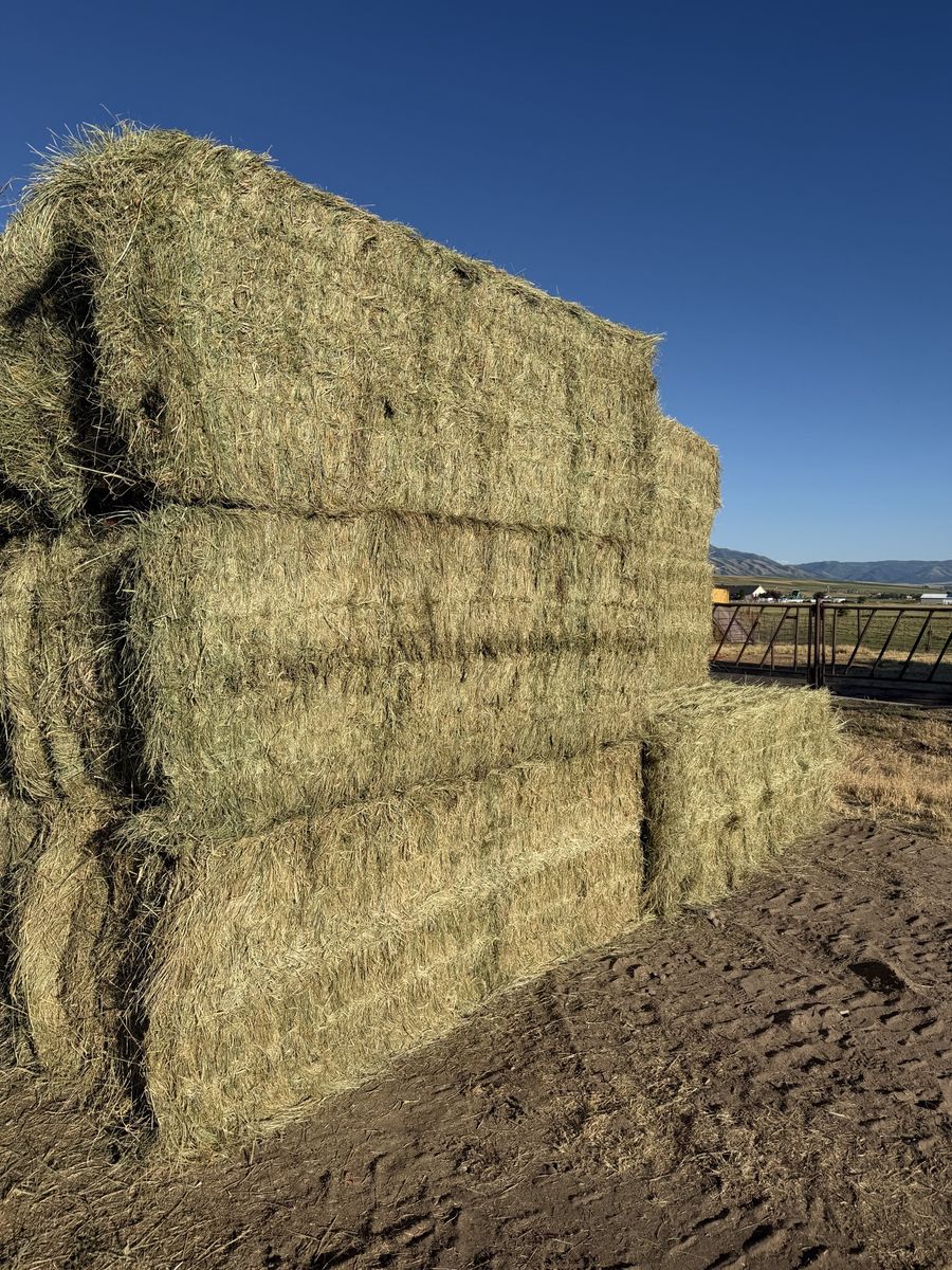 3X3 Grass Hay Bales