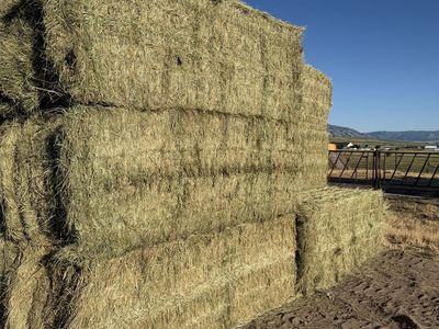 3X3 Grass Hay Bales
