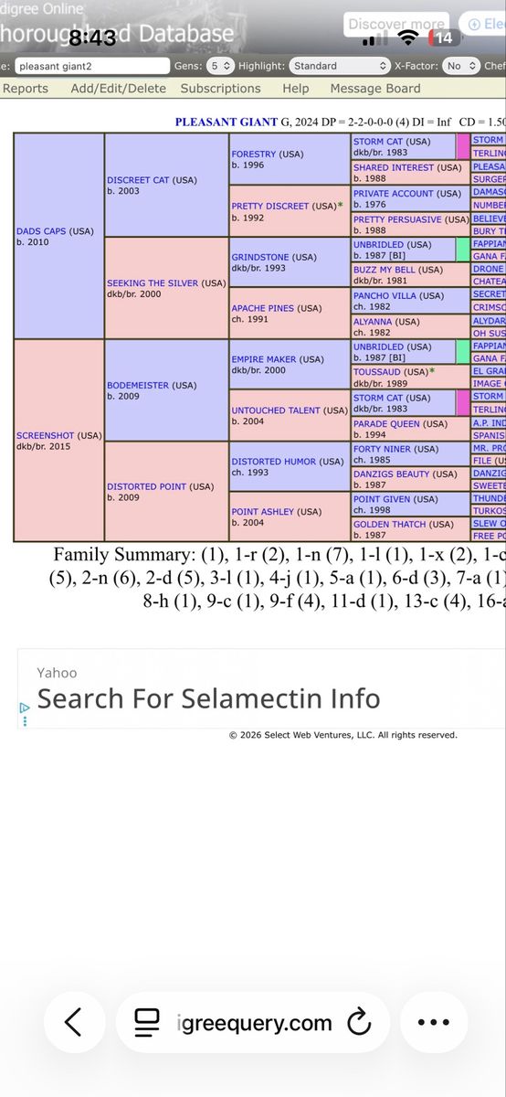 Main image 4