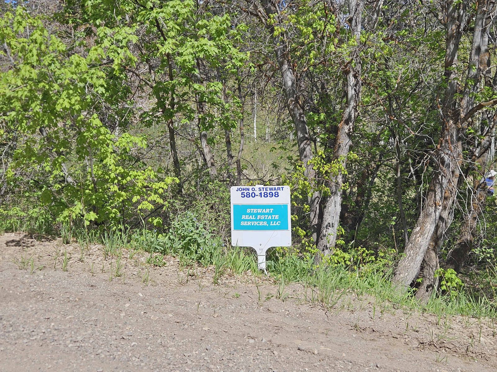 Main image 10