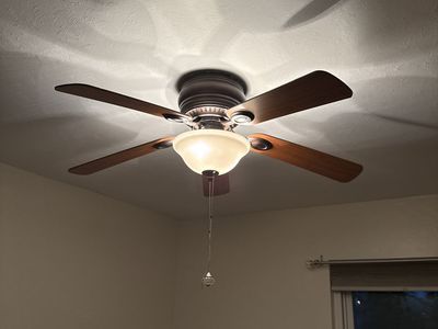 Ceiling fan