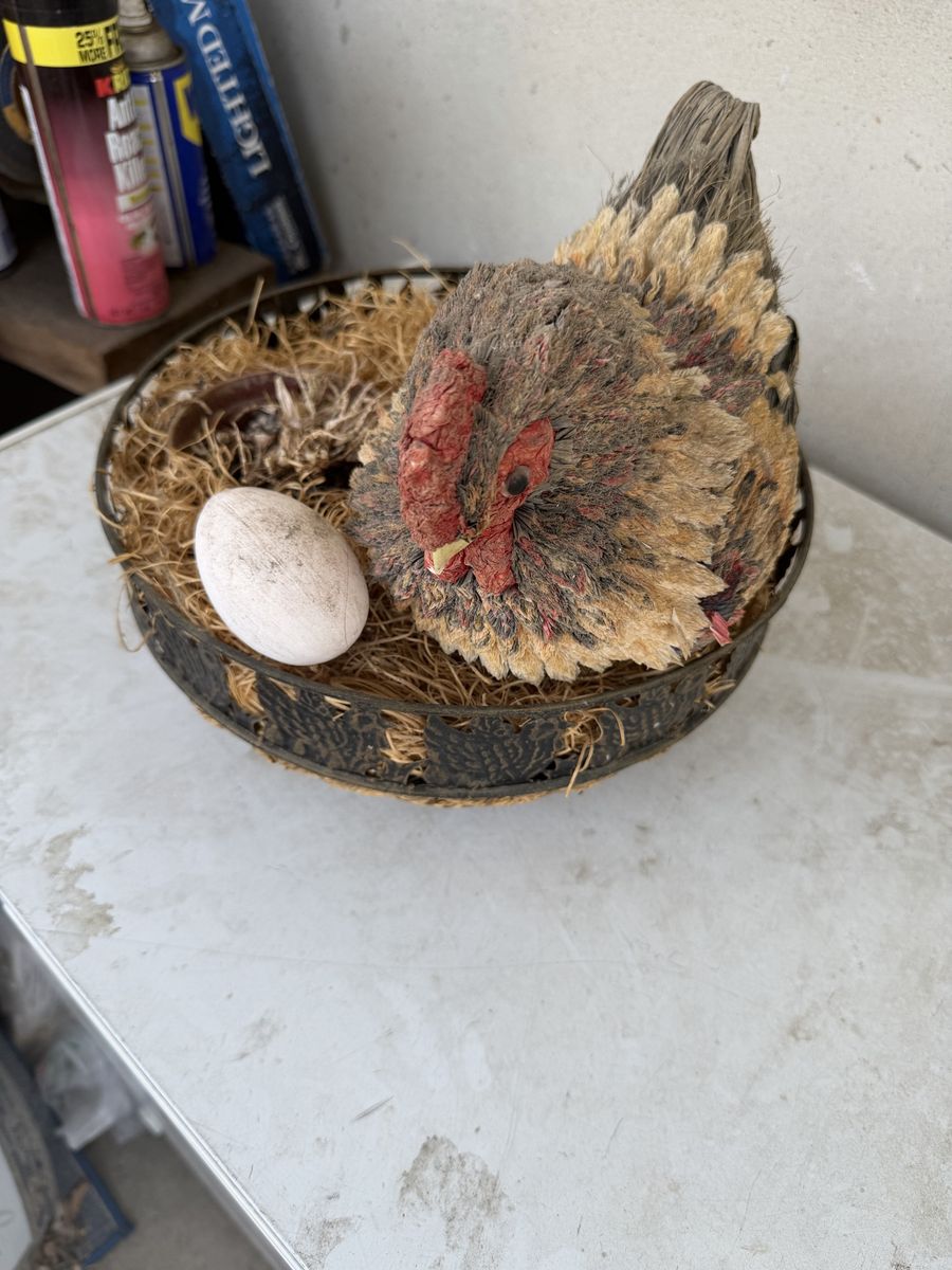 Vintage Hen on Nest Egg Basket Decorative Figurine Farmhouse Decor