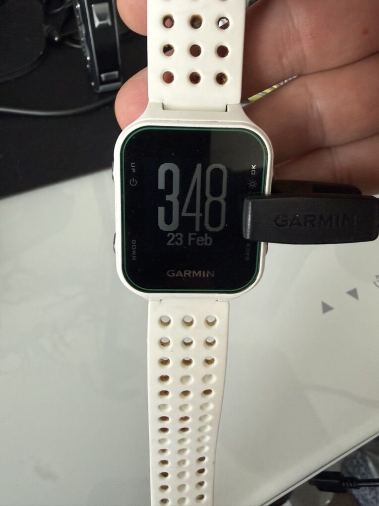 Garmin Approach S20 Golf Watch