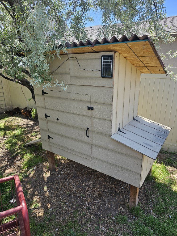 Chicken Coop