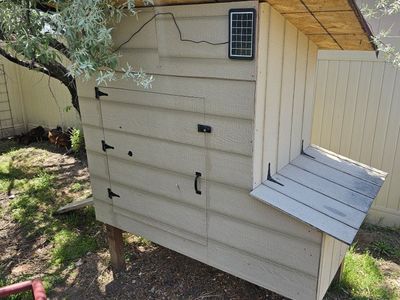 Chicken Coop