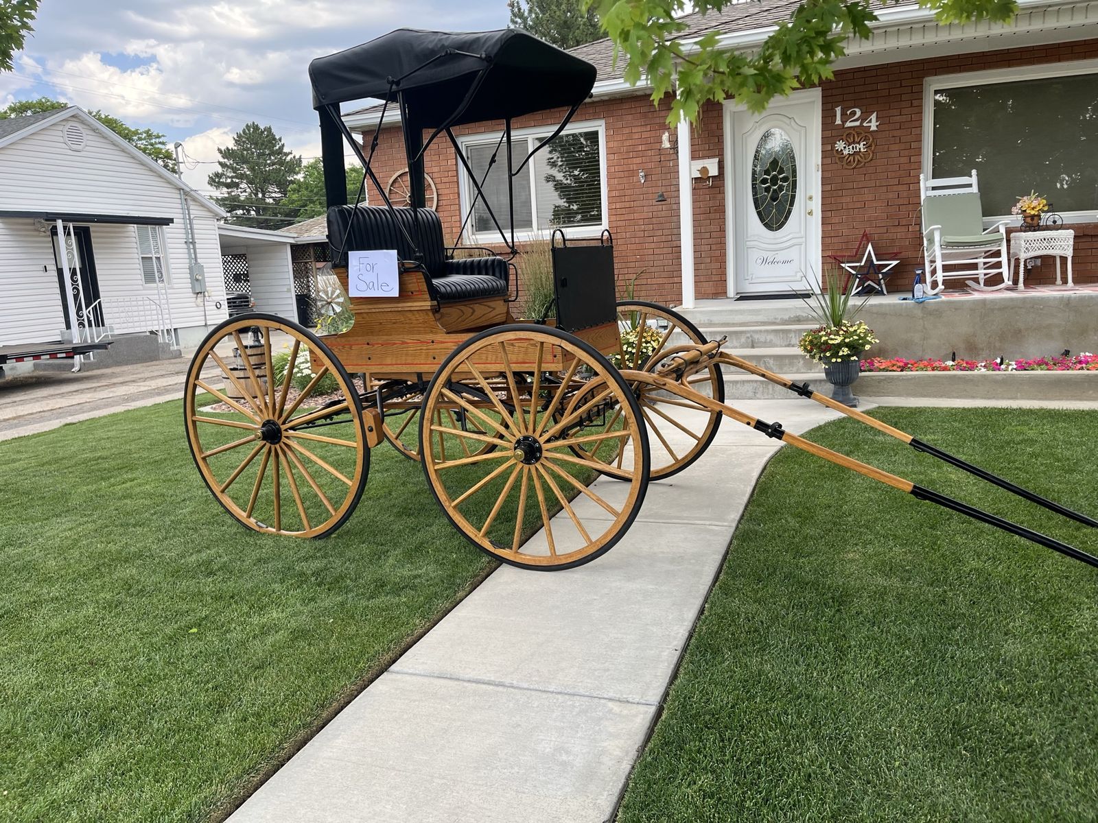 Horse Buggy Carriage with Canopy - For Sale