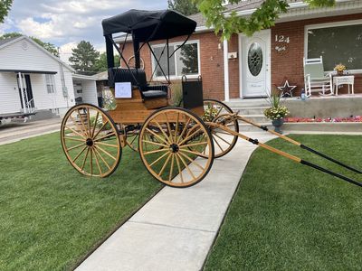 Horse Buggy Carriage with Canopy - For Sale