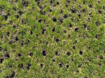 Utah Lawn Aeration | Professional Lawn Aeration | Core Aeration Service | Power Raking | Dethatching