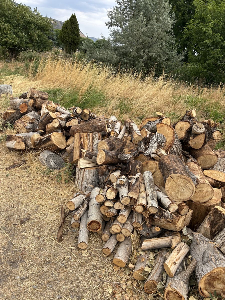 Fire wood for FREE