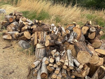 Fire wood for FREE