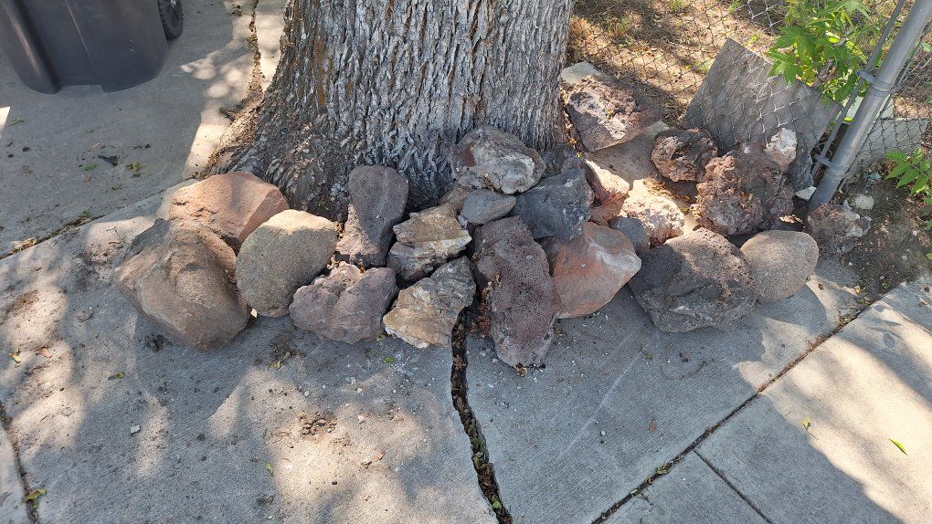 rocks free