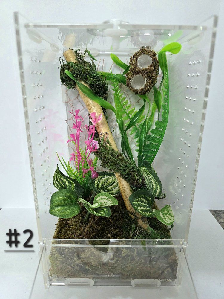 Main image 2