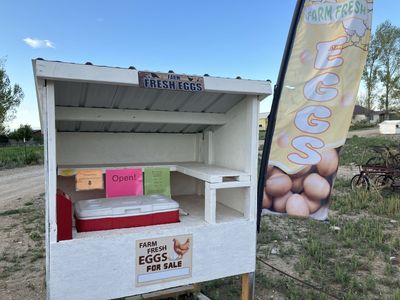 Farm fresh eggs