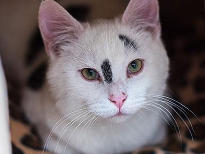 Hello my name is Campbell