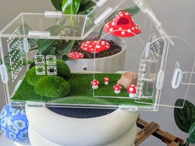 Jumping spider enclosure, spider terrarium, spider house. No spider
