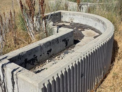 Concrete Planter Box - Unique Curved Design, Durable Outdoor Decor