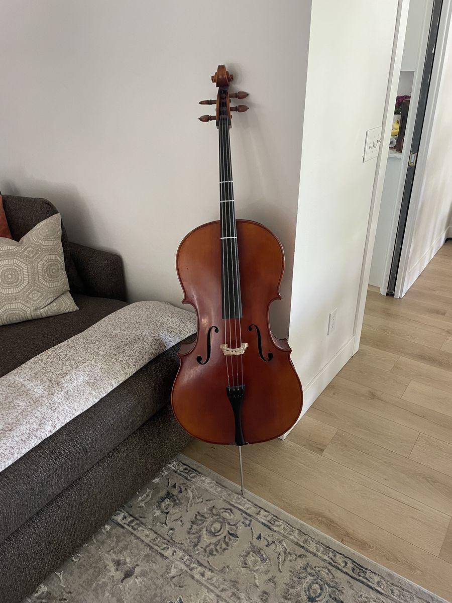 N. Paganini 4/4 Full-Size Cello