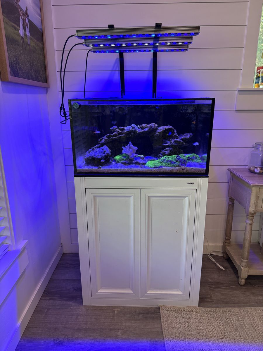 50 gallon fish tank